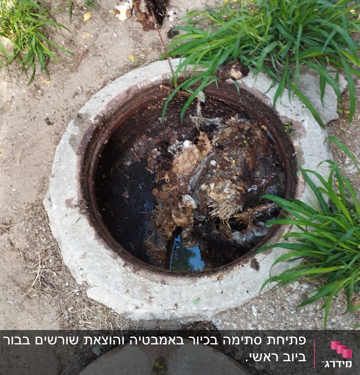 בור ביוב פתוח עם פסולת ושרידים